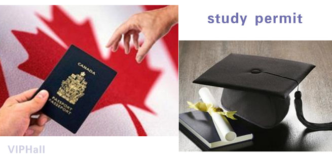 加拿大学签实行双录取新规，准备申签的你造吗？
