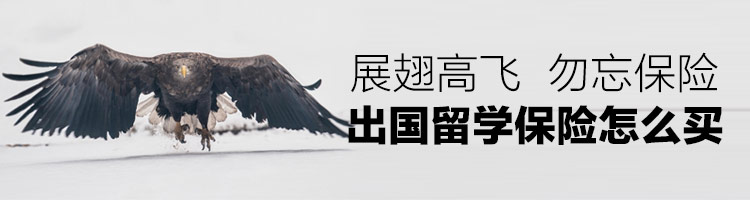 展翅高飞，勿忘保险——出国留学保险怎么买