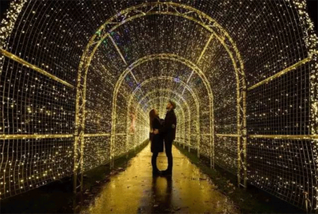 一定不可错过的温哥华节日美景：五千平米的圣诞灯光迷宫，你去了吗？